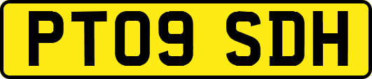 PT09SDH