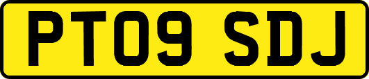 PT09SDJ