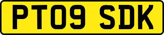 PT09SDK