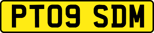 PT09SDM