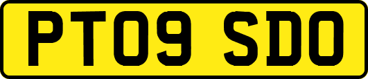 PT09SDO