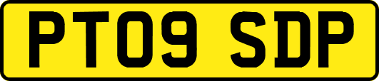 PT09SDP