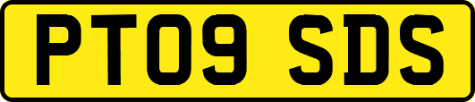 PT09SDS