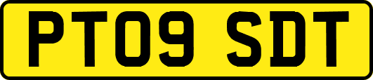 PT09SDT