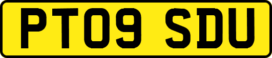 PT09SDU