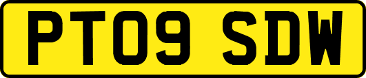 PT09SDW