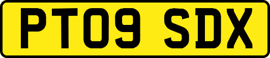 PT09SDX