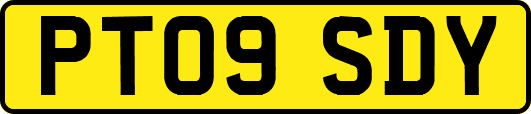 PT09SDY