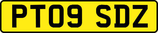 PT09SDZ