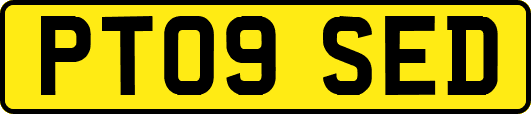PT09SED