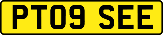 PT09SEE