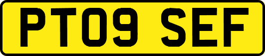 PT09SEF