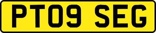 PT09SEG