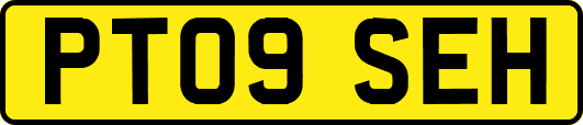PT09SEH