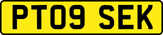 PT09SEK