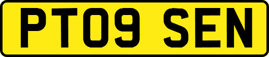 PT09SEN