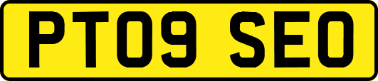 PT09SEO