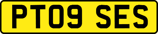 PT09SES