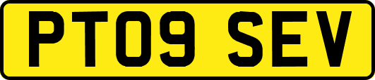 PT09SEV