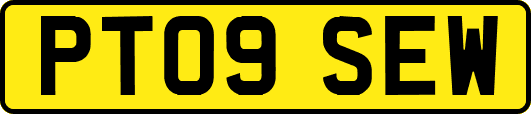 PT09SEW