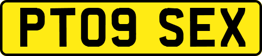 PT09SEX