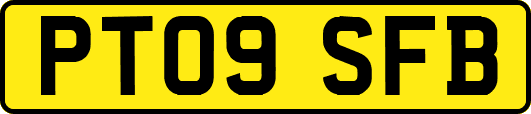 PT09SFB
