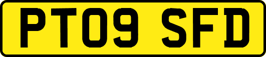 PT09SFD