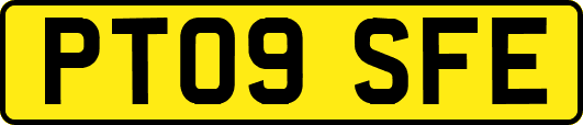 PT09SFE