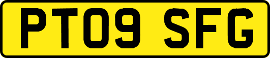 PT09SFG