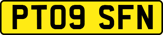 PT09SFN