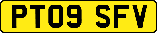 PT09SFV