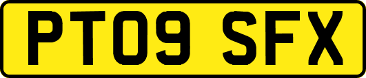 PT09SFX