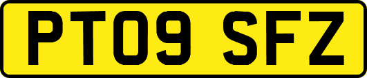 PT09SFZ