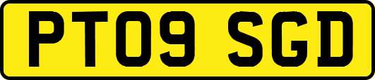 PT09SGD