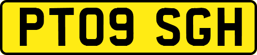 PT09SGH