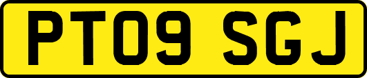 PT09SGJ