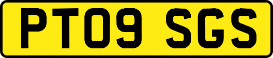 PT09SGS