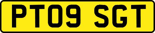PT09SGT