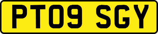 PT09SGY
