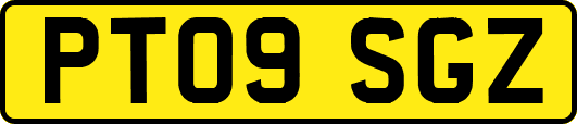 PT09SGZ