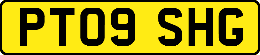 PT09SHG