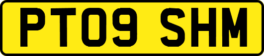 PT09SHM