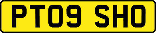 PT09SHO