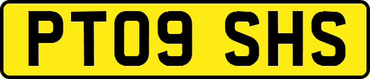 PT09SHS