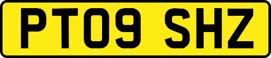 PT09SHZ