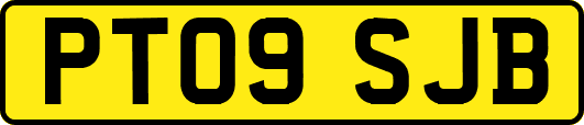 PT09SJB