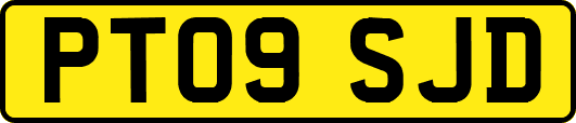 PT09SJD