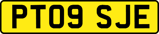 PT09SJE