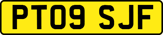 PT09SJF