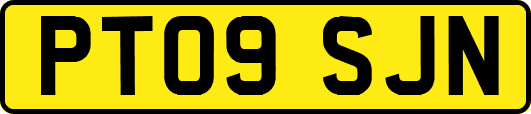 PT09SJN